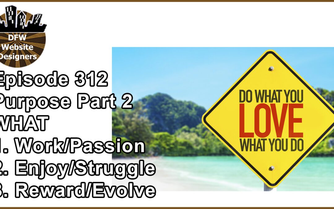 Episode 312 Purpose Part 2 WHAT: Work/Passion, Enjoy/Struggle, Reward/Evolve