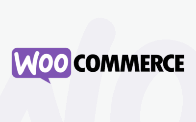 What is WooCommerce Theme Development And Its Importance?
